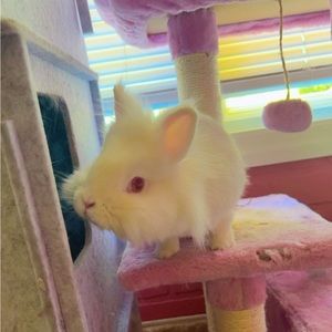 Meet your Posher, Dalilah